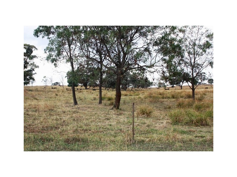 Kerlan Mt Hope Road, Mudgee NSW 2850