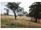 Kerlan Mt Hope Road, Mudgee NSW 2850
