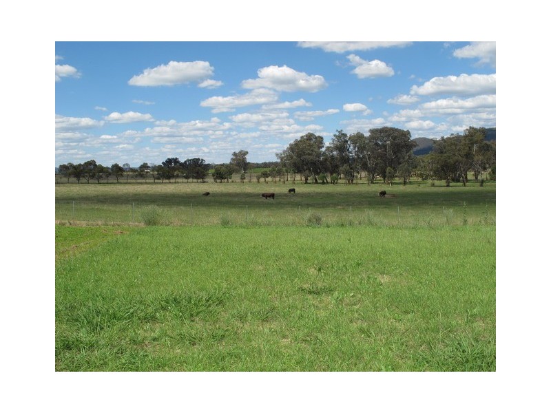 49 Robert Hoddle Grove, Mudgee NSW 2850