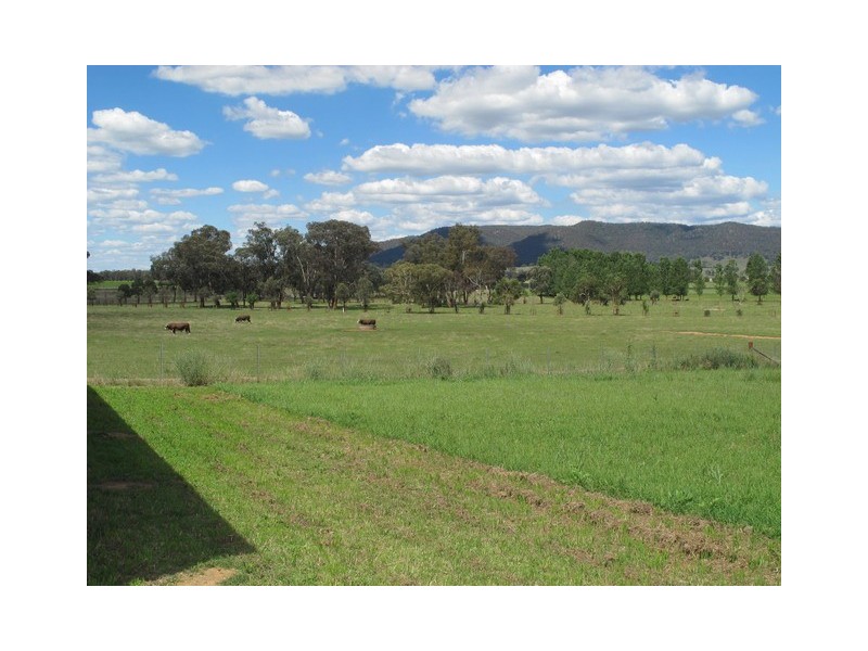 49 Robert Hoddle Grove, Mudgee NSW 2850
