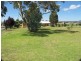 59 Bellevue Road, Mudgee NSW 2850