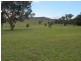 129 Windeyer Road, Mudgee NSW 2850