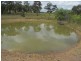 1802 Blue Springs Road, Gulgong NSW 2852