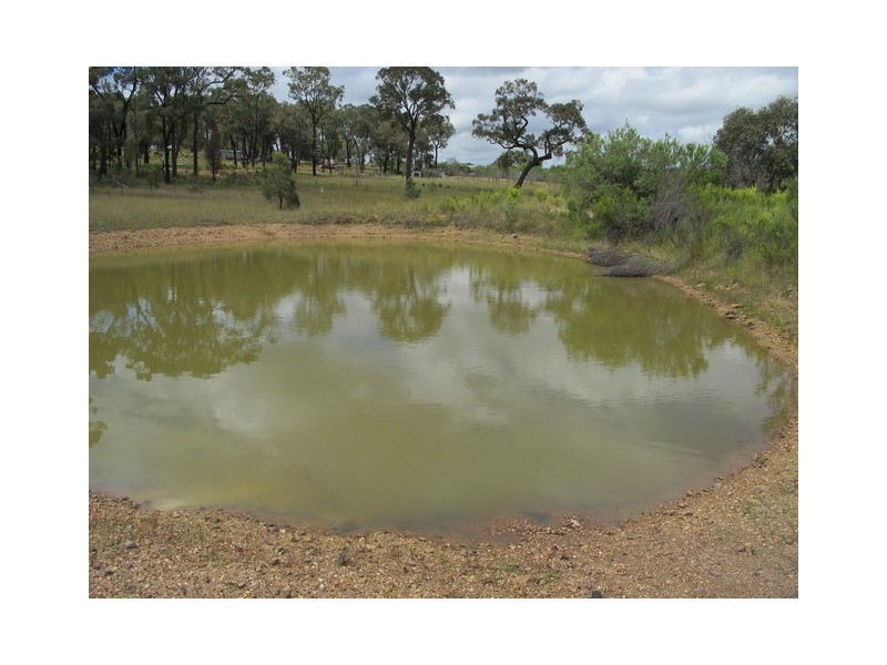 1802 Blue Springs Road, Gulgong NSW 2852