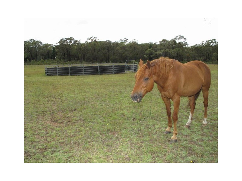 1802 Blue Springs Road, Gulgong NSW 2852