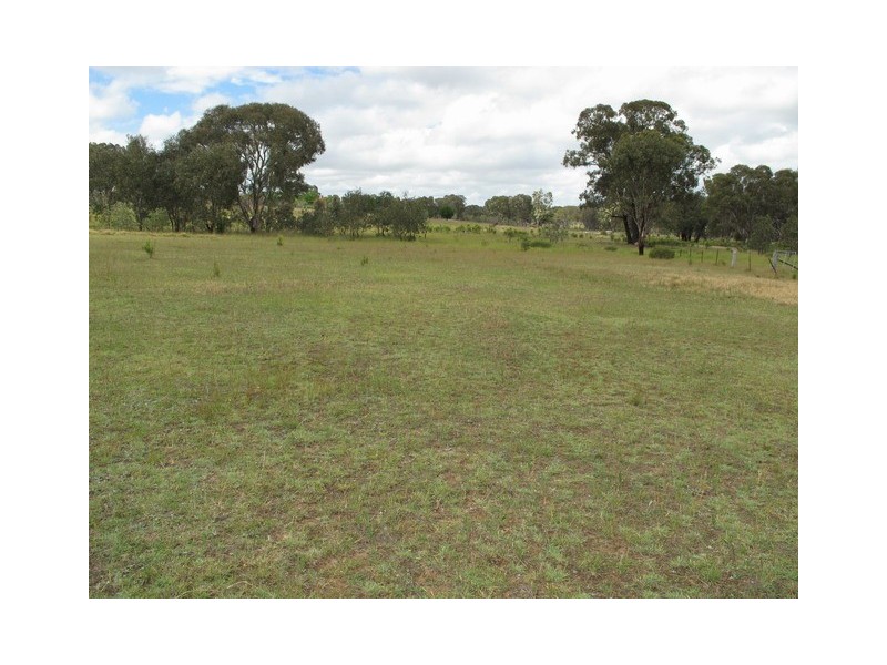 1802 Blue Springs Road, Gulgong NSW 2852