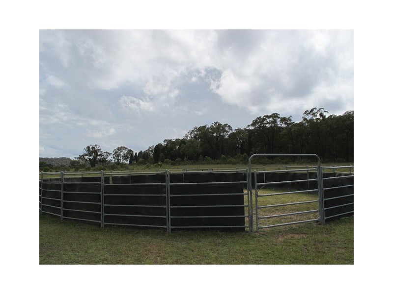 1802 Blue Springs Road, Gulgong NSW 2852