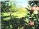 3013 Ulan Road, Mudgee NSW 2850