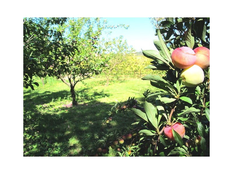 3013 Ulan Road, Mudgee NSW 2850