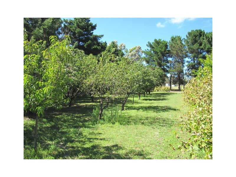 3013 Ulan Road, Mudgee NSW 2850