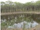 Lot 72 Blue Springs Road, Gulgong NSW 2852