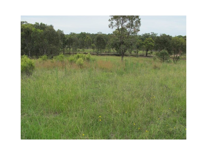 Lot 72 Blue Springs Road, Gulgong NSW 2852