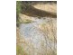 Lot 72 Blue Springs Road, Gulgong NSW 2852