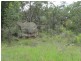 Lot 72 Blue Springs Road, Gulgong NSW 2852