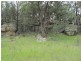 Lot 72 Blue Springs Road, Gulgong NSW 2852