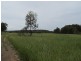 Lot 72 Blue Springs Road, Gulgong NSW 2852