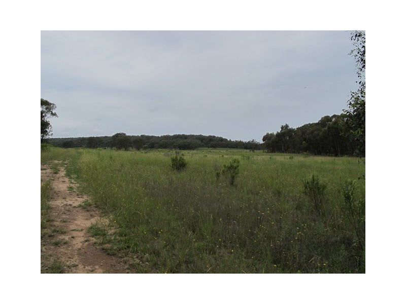 Lot 72 Blue Springs Road, Gulgong NSW 2852