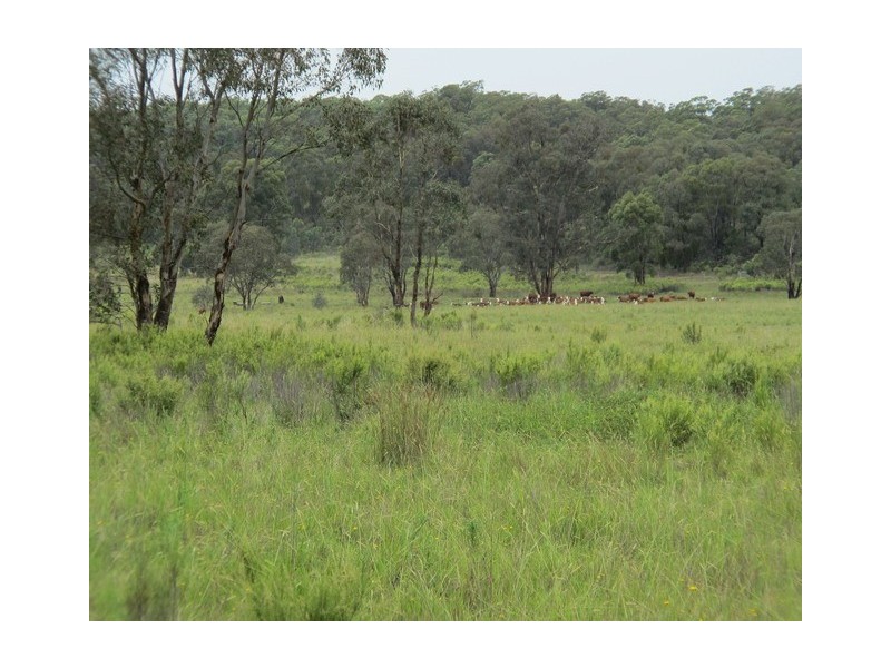 Lot 72 Blue Springs Road, Mudgee NSW 2850