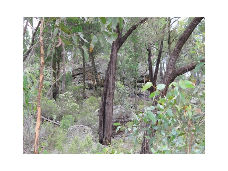 Lot 72 Blue Springs Road, Mudgee NSW 2850