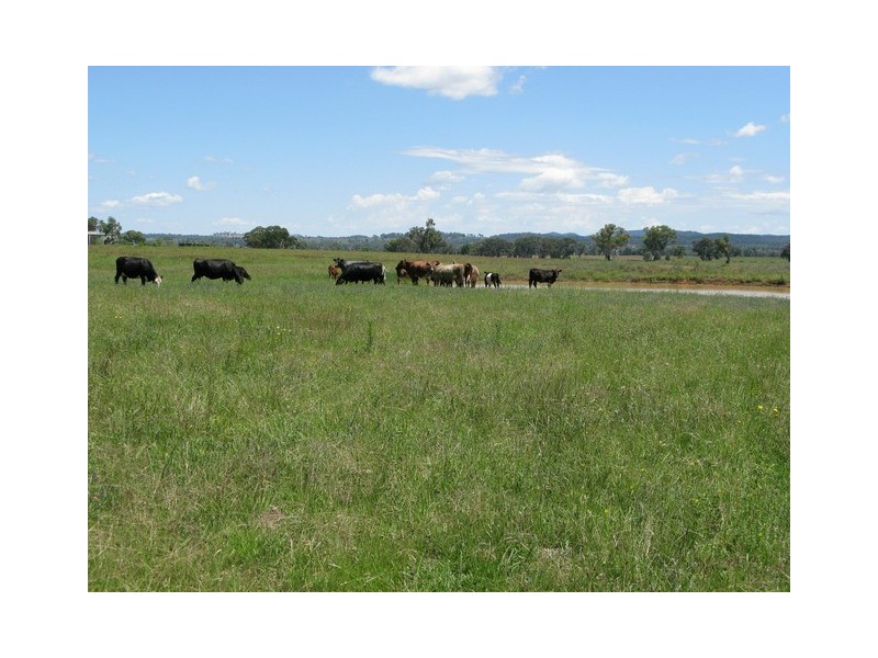 Lot 3 Stoney Creek Road, Mudgee NSW 2850