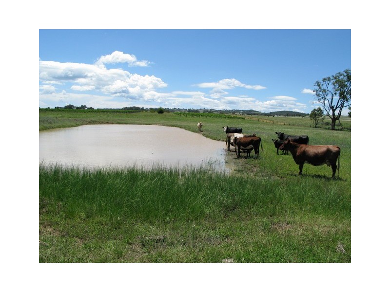 Lot 3 Stoney Creek Road, Mudgee NSW 2850