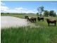 Lot 3 Stoney Creek Road, Mudgee NSW 2850