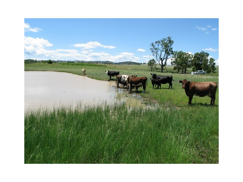 Lot 3 Stoney Creek Road, Mudgee NSW 2850