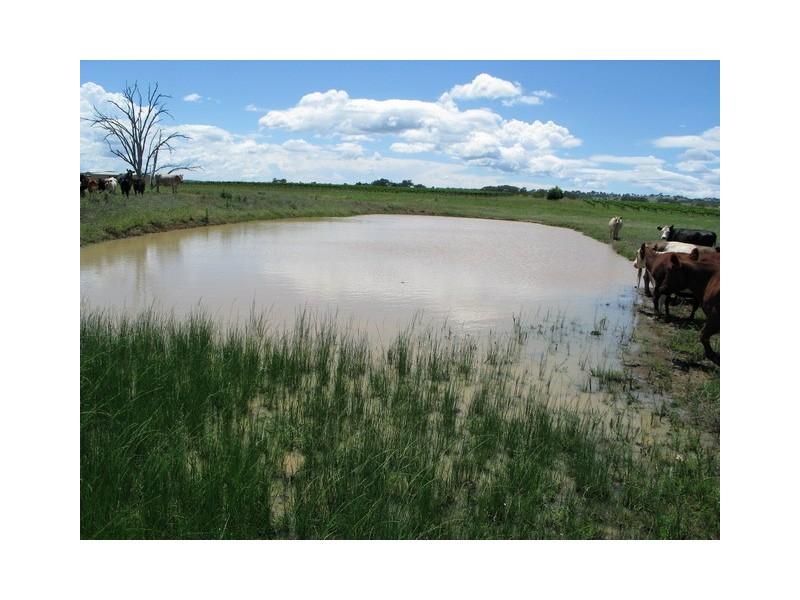 Lot 3 Stoney Creek Road, Mudgee NSW 2850