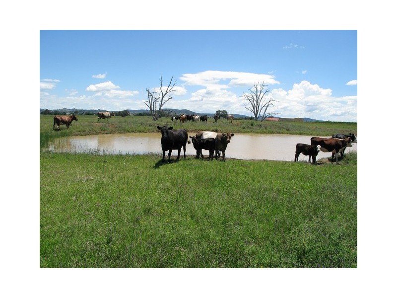 Lot 3 Stoney Creek Road, Mudgee NSW 2850