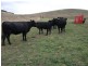 “Rosedale” Ulan Road, Wollar NSW 2850