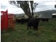 “Rosedale” Ulan Road, Wollar NSW 2850