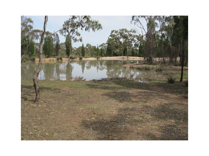 892 Yarrawonga Road, Mudgee NSW 2850