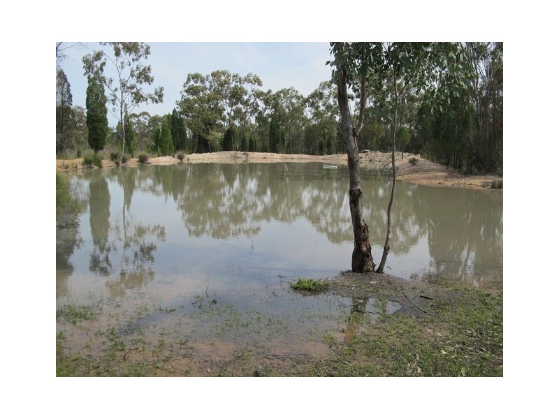 892 Yarrawonga Road, Mudgee NSW 2850