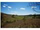 1048 Queens Pinch Road, Mudgee NSW 2850