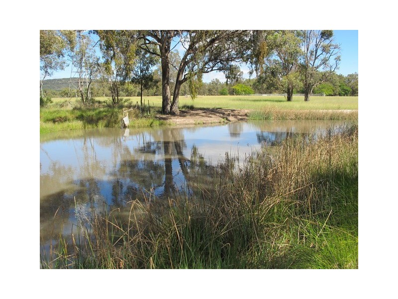 499 Ridge Road, Mudgee NSW 2850