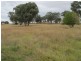 158 Grimshaw Lane, Gulgong NSW 2852