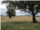 158 Grimshaw Lane, Gulgong NSW 2852