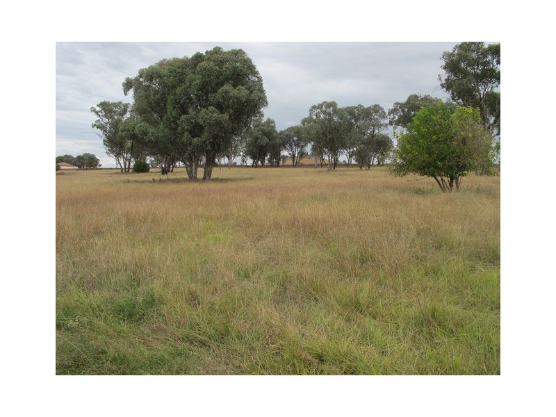 158 Grimshaw Lane, Gulgong NSW 2852