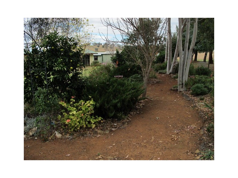 158 Grimshaw Lane, Gulgong NSW 2852