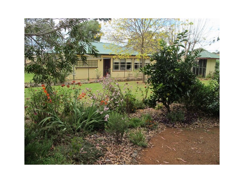 158 Grimshaw Lane, Gulgong NSW 2852