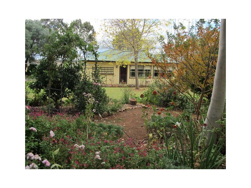 158 Grimshaw Lane, Gulgong NSW 2852
