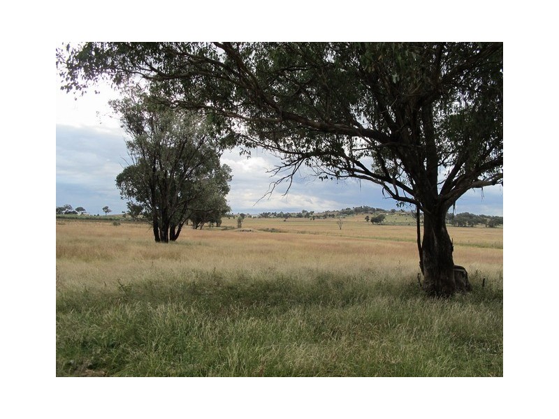 158 Grimshaw Lane, Gulgong NSW 2852