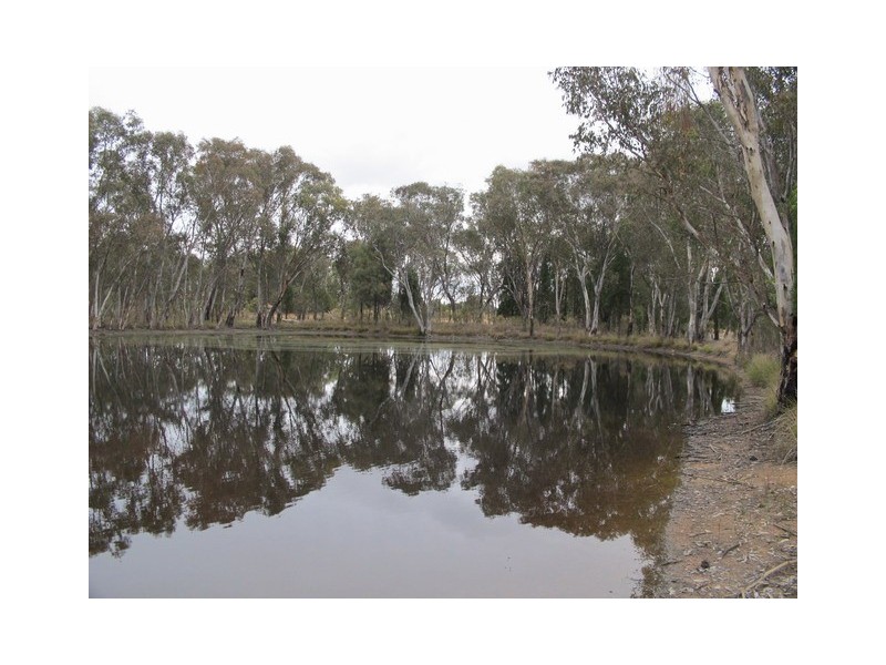 520 Yarrawonga Road, Yarrawonga NSW 2850