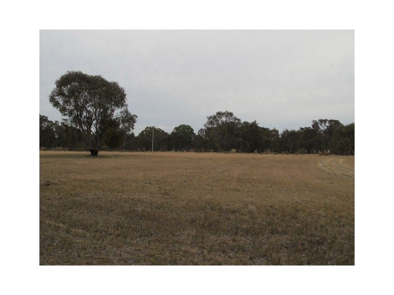 520 Yarrawonga Road, Mudgee NSW 2850