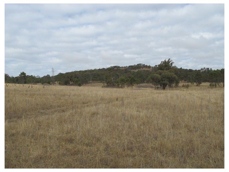 170 Ridge Road, Mudgee NSW 2850