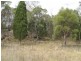 170 Ridge Road, Mudgee NSW 2850