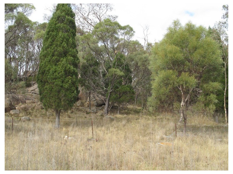 170 Ridge Road, Mudgee NSW 2850