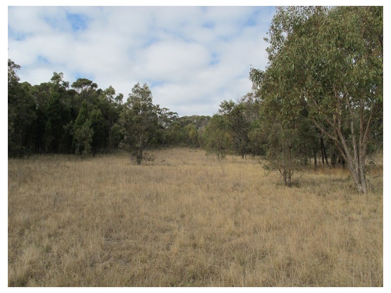 170 Ridge Road, Mudgee NSW 2850