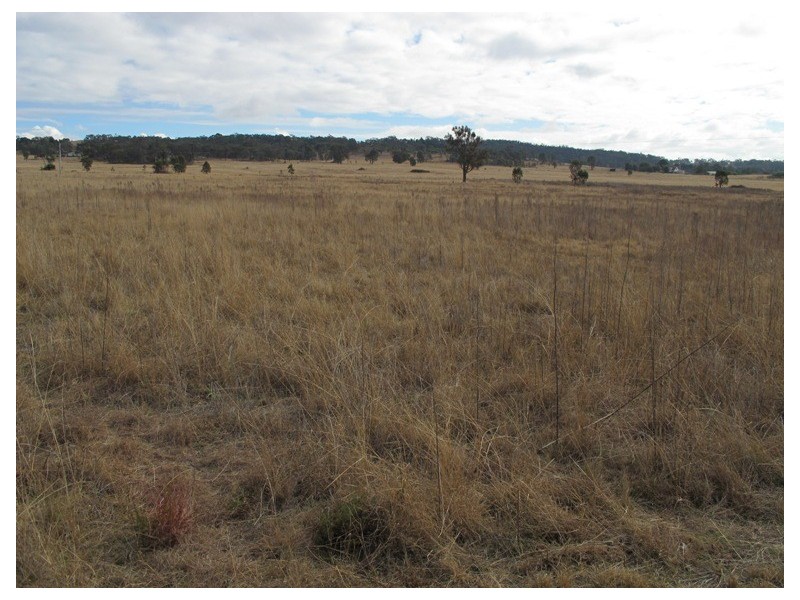 2995 Ulan Road, Mudgee NSW 2850