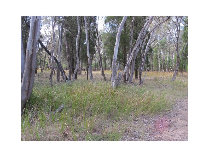 268 Cypress Drive, Mudgee NSW 2850